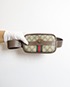 Ophidia Mini Belt Bag, front view